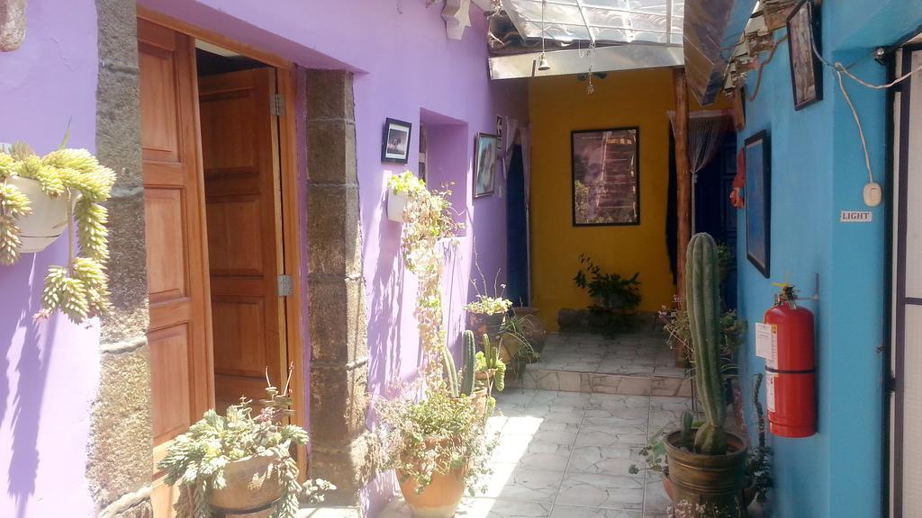 Casa De La Gringa Hostel كوسكو المظهر الخارجي الصورة